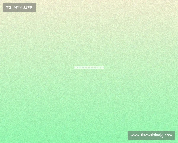 今日赛事即时查询指南一键掌握所有动态信息